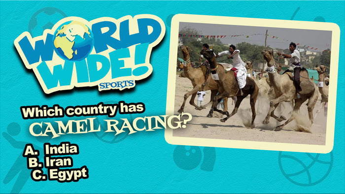 World Wide Sports
